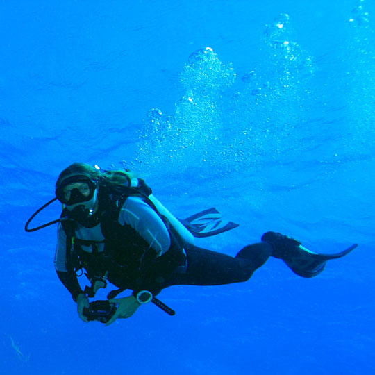 Plongée à Cavalaire-sur-Mer - Plongée sous-marine dans le Var